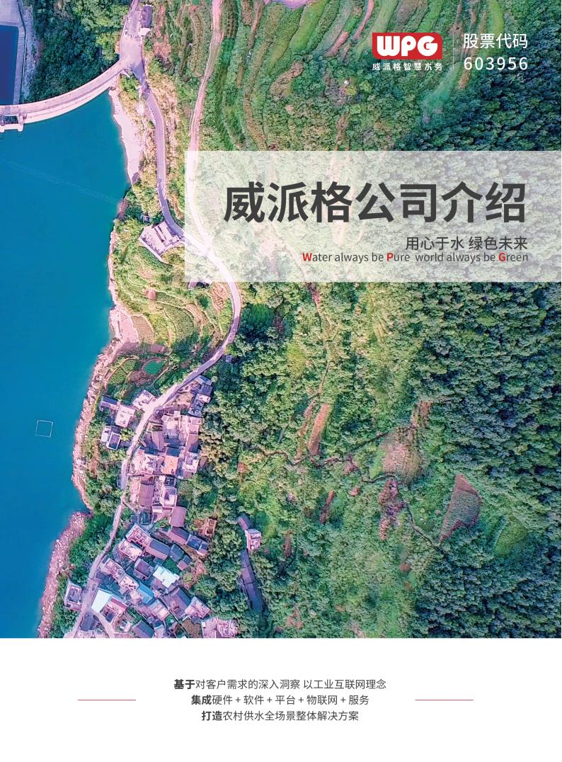 威派格公司介绍简版-水利版